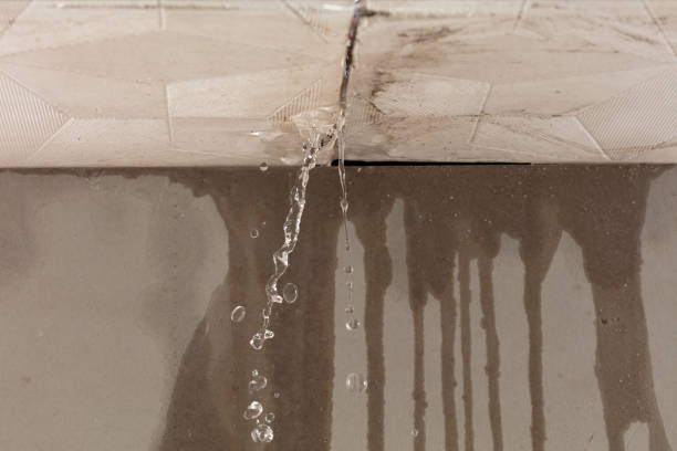 Professional Water Damage Repair technician working in New Braunfels, TX